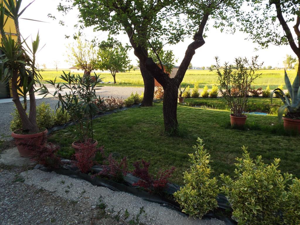 B&B Il Portico Praticello di Gattatico Bagian luar foto